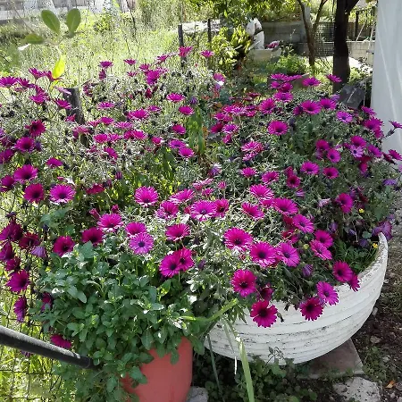 Toulatos Pantelis Apartamento