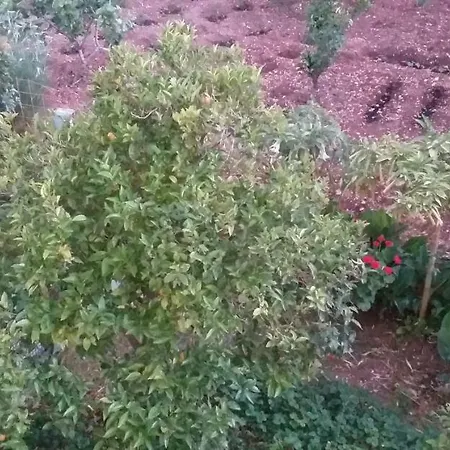 Apartamento Toulatos Pantelis